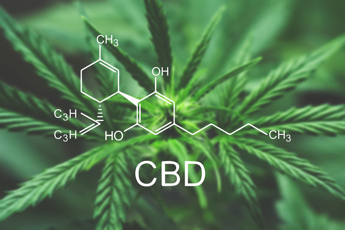 Nature's Green House explains the history of the CBD chemical found in cannabis plants